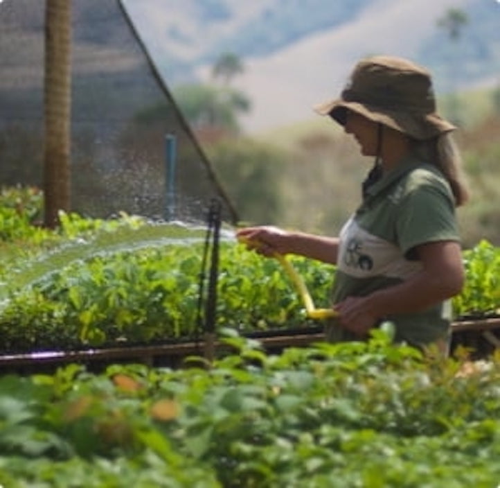 Bäume pflanzen mit Escosia